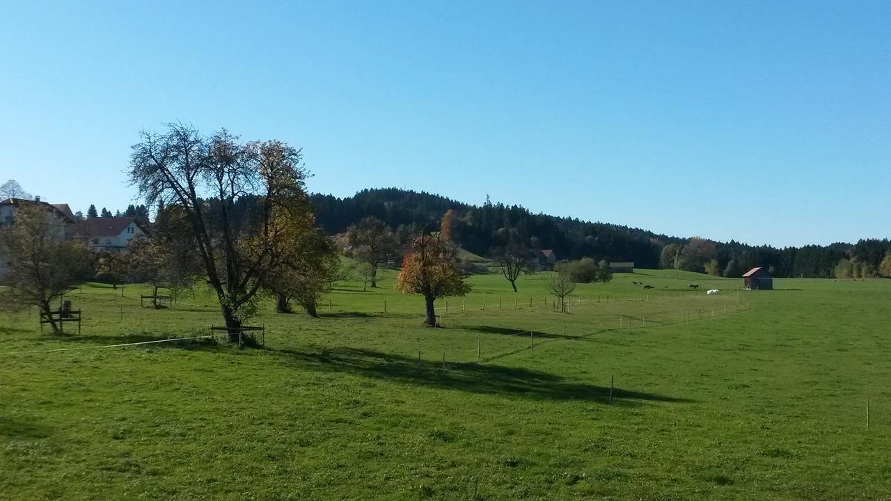 Apartment Herzberger Scheidegg