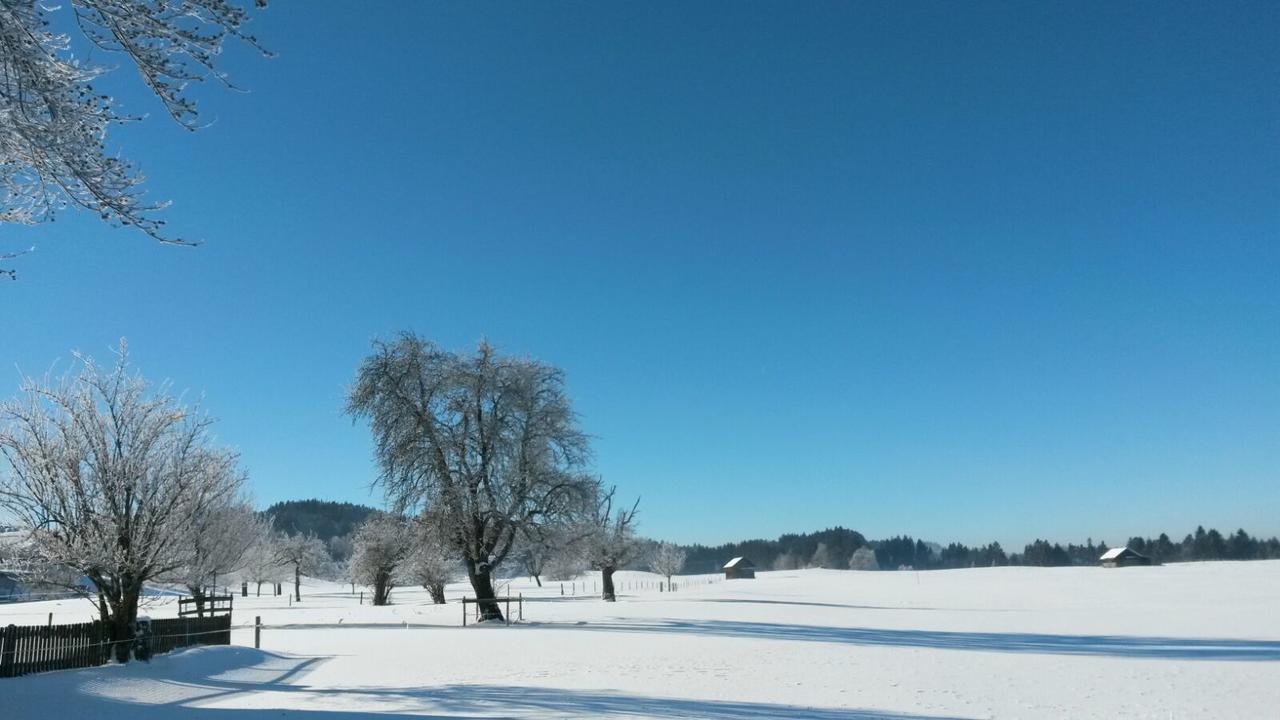 Herzberger * Scheidegg